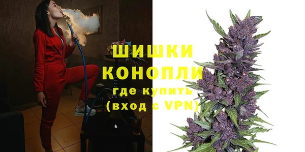 ГАЛЛЮЦИНОГЕННЫЕ ГРИБЫ Арсеньев