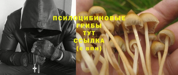 ГАЛЛЮЦИНОГЕННЫЕ ГРИБЫ Арсеньев