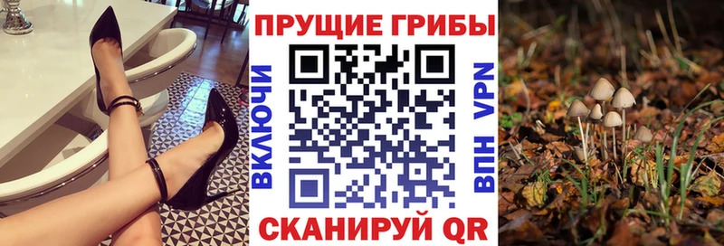 это как зайти  Сухой Лог  Псилоцибиновые грибы мухоморы 